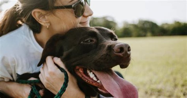 10 Best Dog Treats for Separation Anxiety and Stress 2023