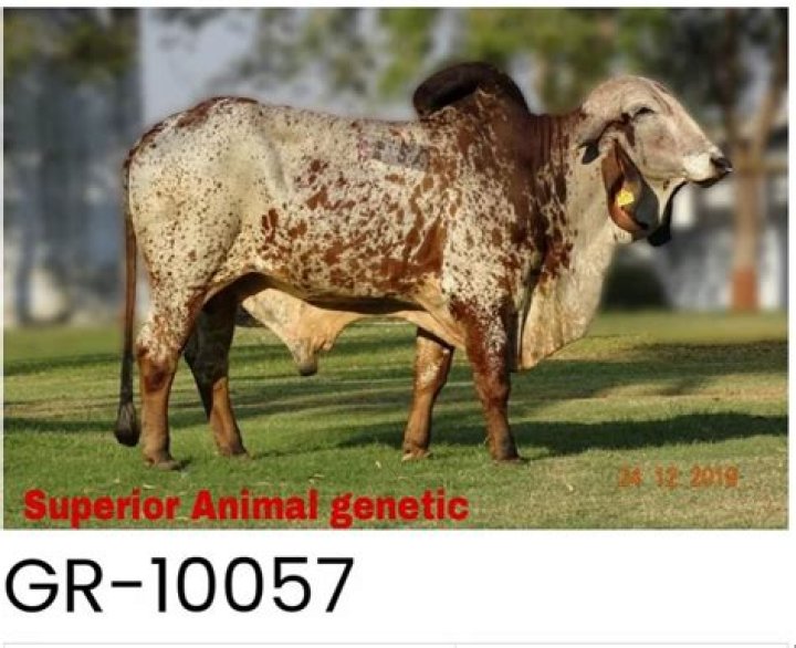 ارقام وعناوين مستشفى الدمام المركزي بالمنطقة الشرقية مواعيد العمل 2021