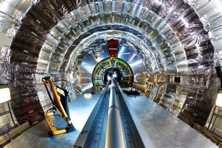 ​Top 5 Most Popular Types Of Monkeys In The World