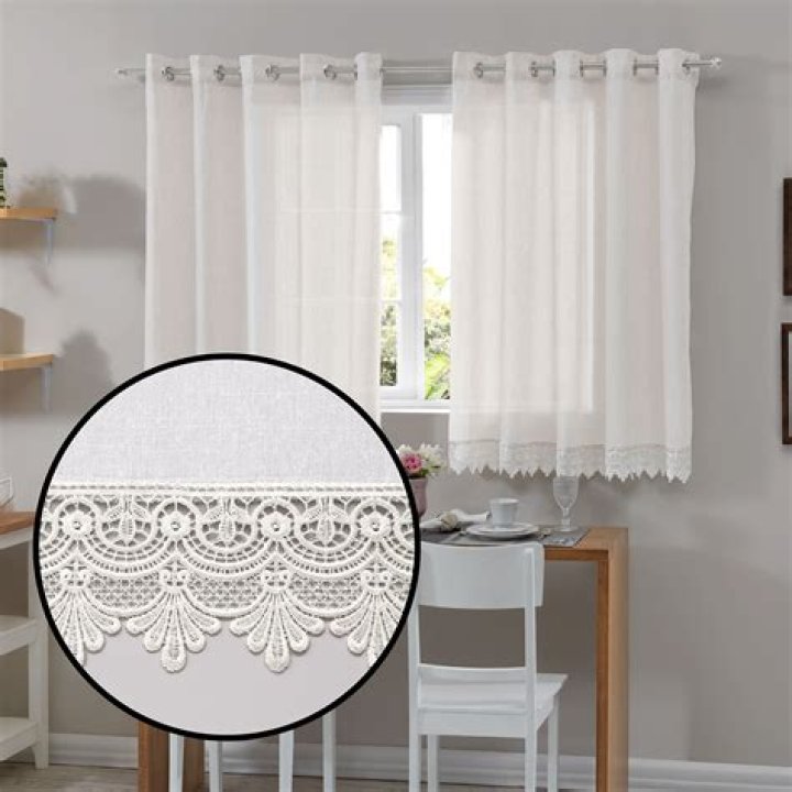 ما جزء النبات المسؤول عن امتصاص الماء والاملاح من التربه