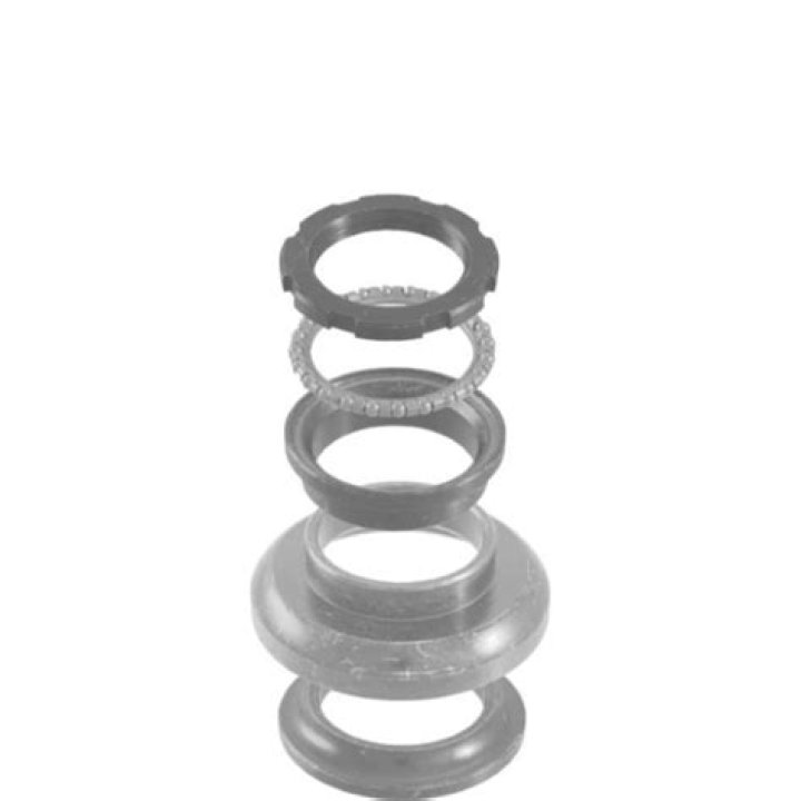 لا زكاة في الخارج من البحر وإن أُعد للتجارة