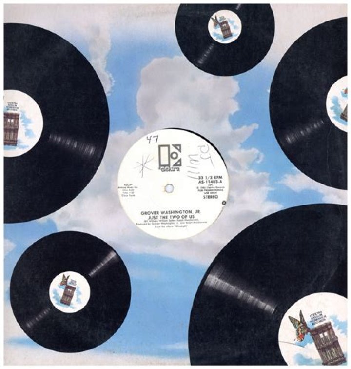 يصنع النبات غذاؤه في الورقة بعملية تسمى