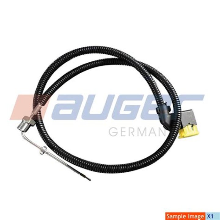 ما هو دور الأسرة والمدرسة في المحافظة على الأمن