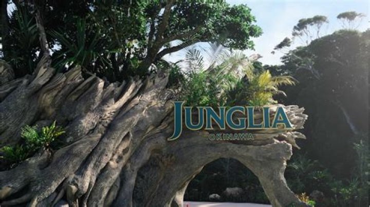 فوائد اوميغا 3 للنساء وجرعه استخدام حبوب الأوميجا 3