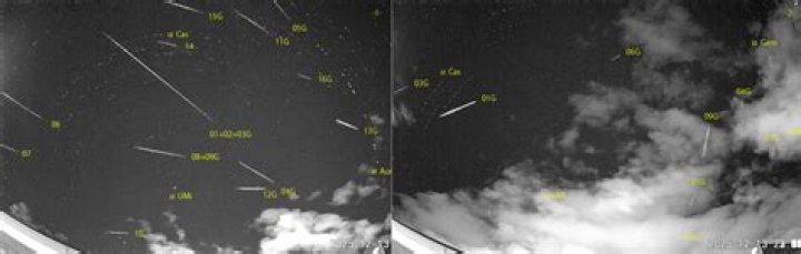 من هو الأمير فهد بن سعد بن عبدالله بن تركي ويكيبيديا