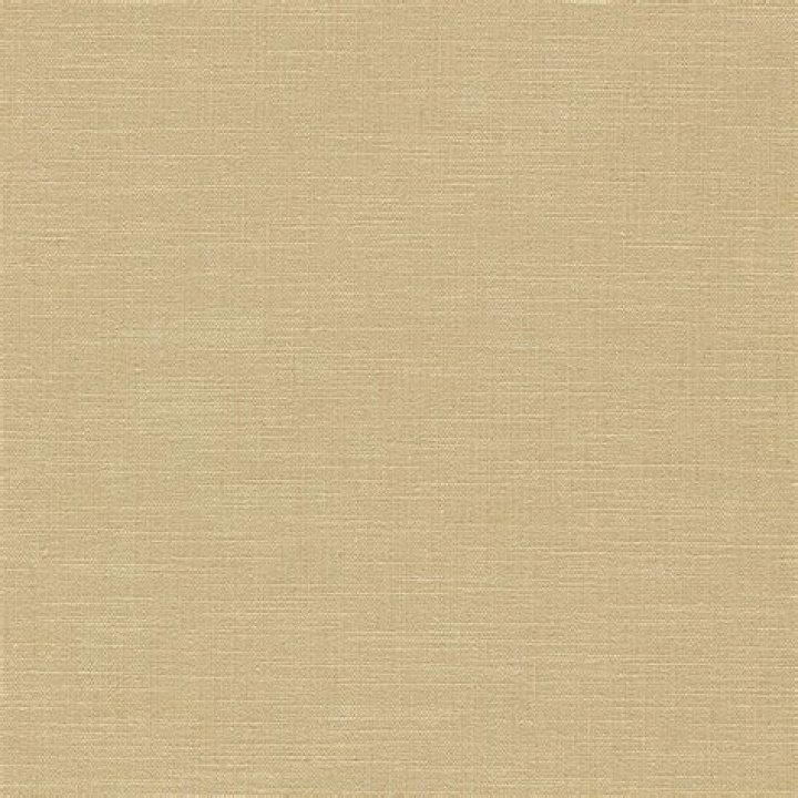 chittaranjan giri Profile – Age, Career Info, ICC Ranking & Stats