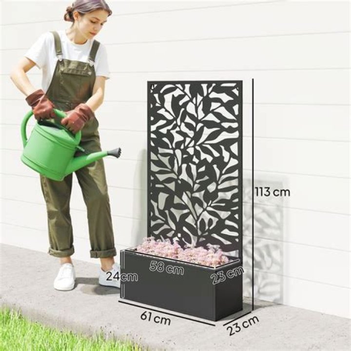 بلاك بورد جامعة المجمعة lms.mu.edu.sa تسجيل الدخول