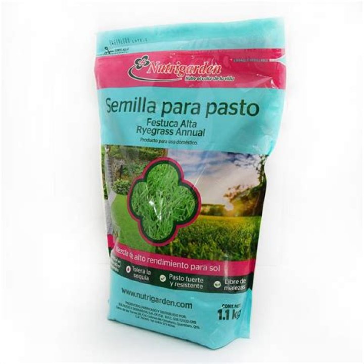 اذا احد قالي غبيه وش ارد