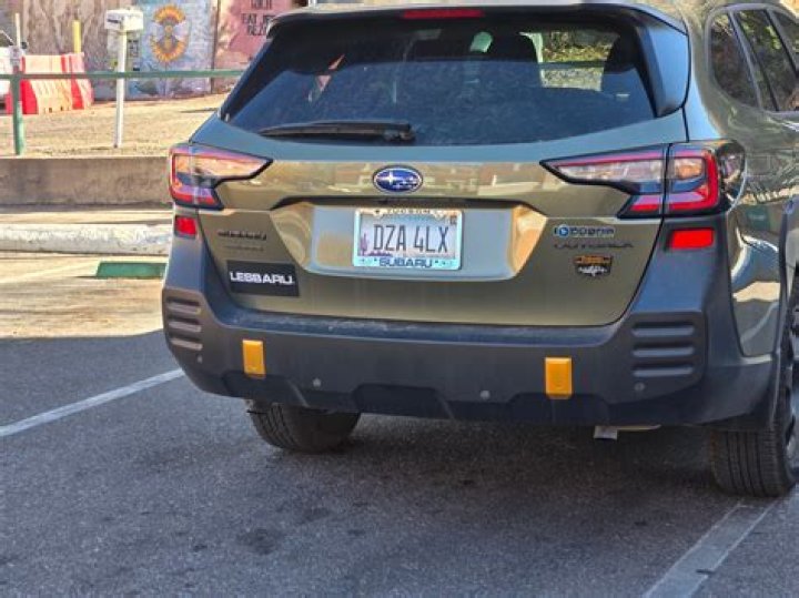 تتميز الاسفنجيات بوجود خلايا مطوقة اين توجد وما وظيفتها