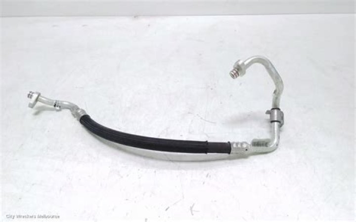 تقوم النباتات بعملية البناء الضوئي لصنع الغذاء للنبات