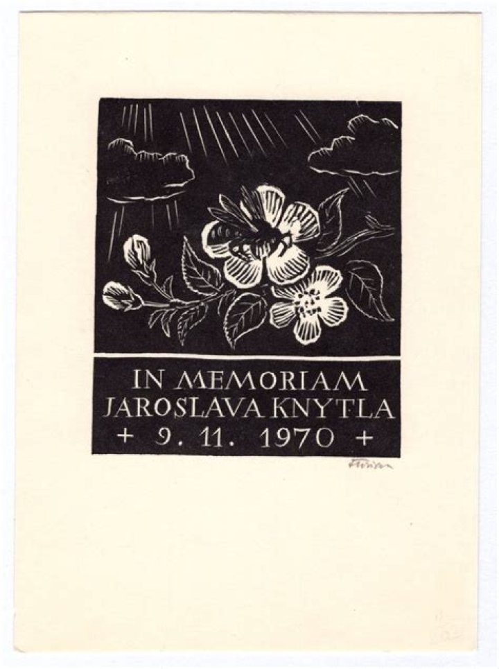 اخترعت أول عربة ذاتية الحركة في عام