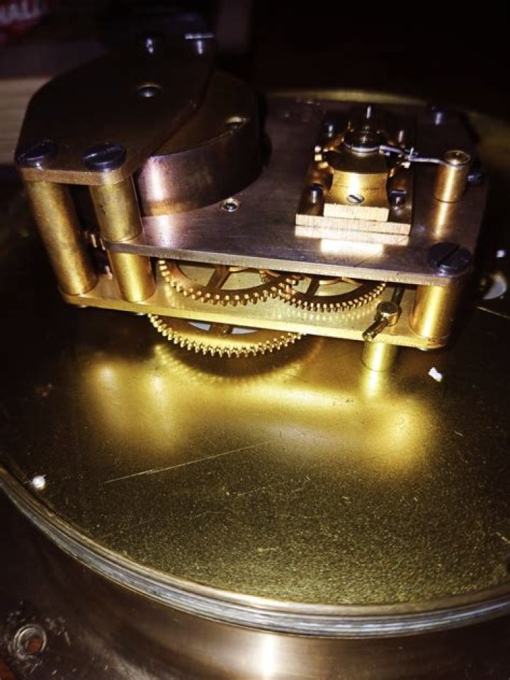 في فصل الصيف تفرز النباتات الزيوت العطرية من أجل أنْ