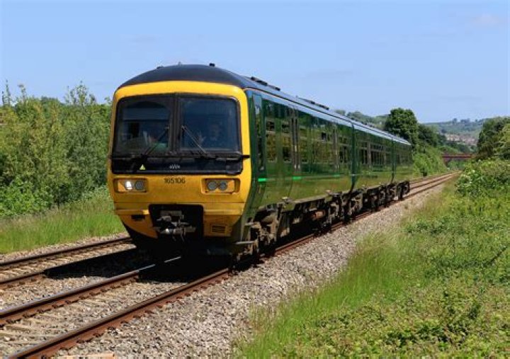 ما هو ضد كلمة النظام