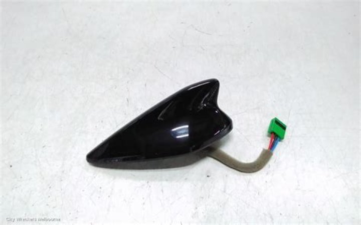 الخلية المخصبة تنتج بسبب