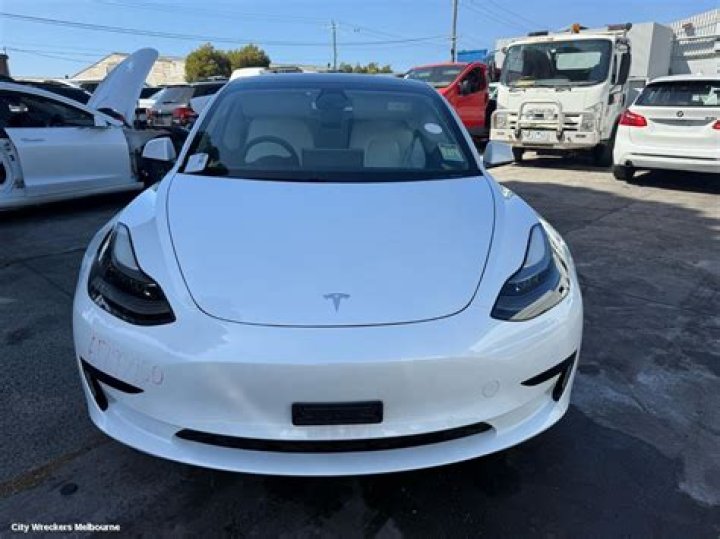 تنتشر الأمواج الزلزالية من بؤرة الزلزال في جميع الاتجهات