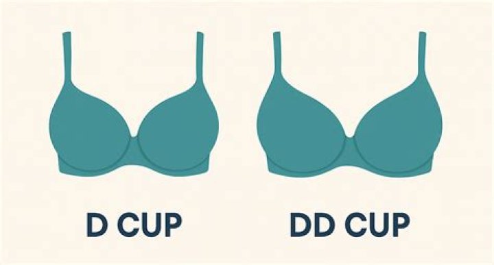 21 Bras for DD+ and Larger Cups to Fit Your Every Need