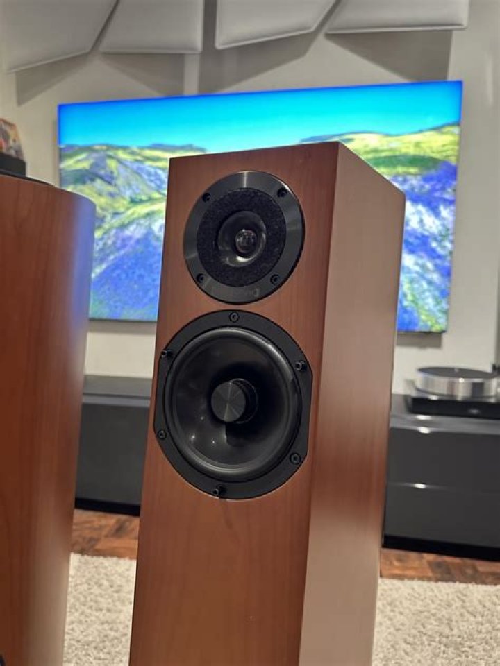 محمد غانم الشمري كم عمره