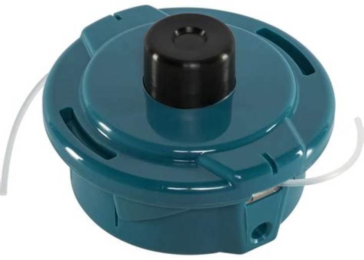 قصة الحمامة المطوقة