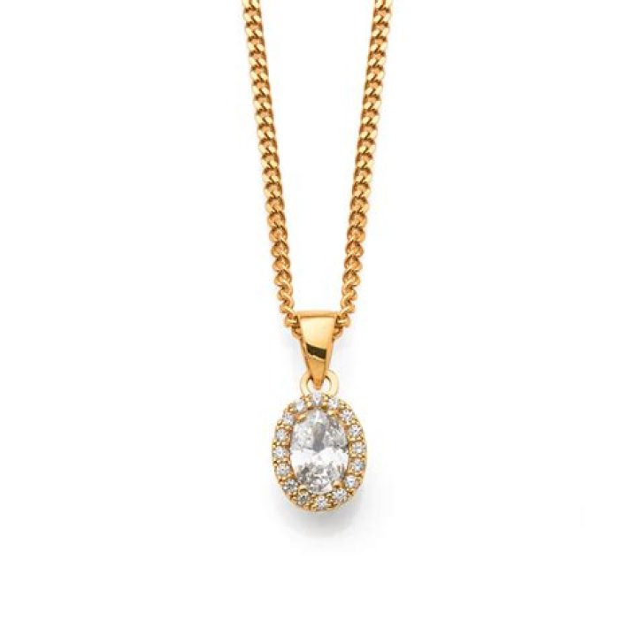 القصبة الهوائية تتألف من حلقات ناقصة الأستدارة صح أم خطأ 