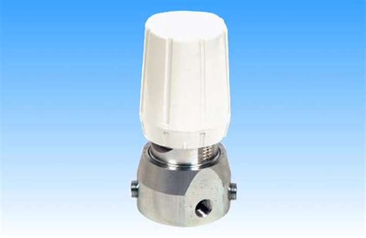 انت طالب مثابر على الجد و الاجتهاد