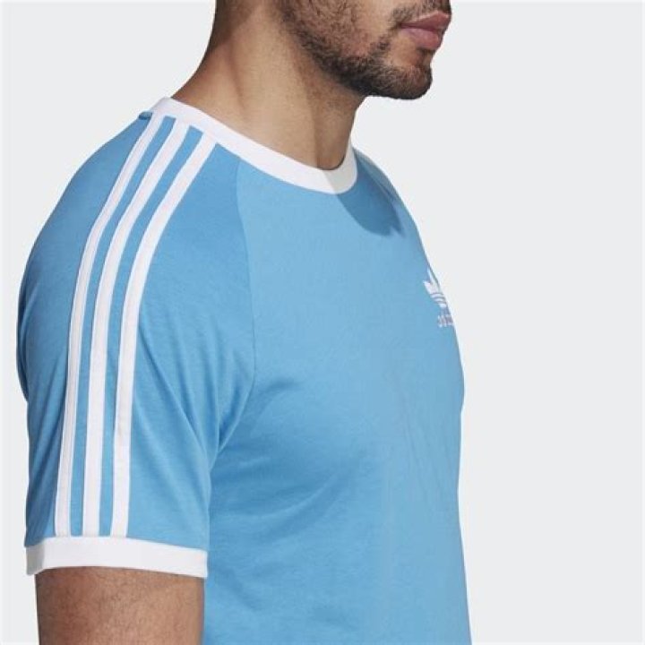 معنى كلمة فرخ هو ولد الطائر