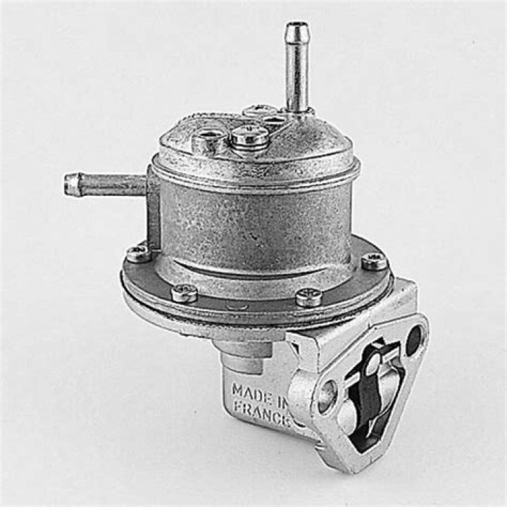 من هي شيمة حسن الخريش العجمي ويكيبيديا