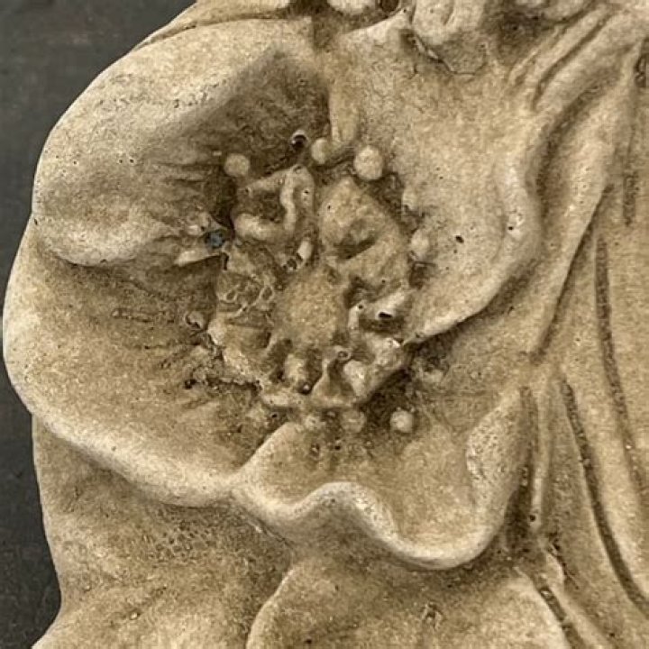 نكت ليش 2022 نكت سامجة وسخيفة ليش