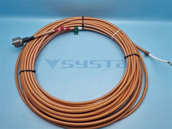 شجرة البزروميا