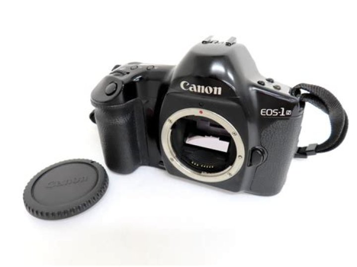 هل الدبور سام