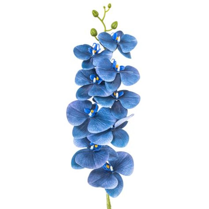 البلاك بورد جامعة الجوف lms ju .. تحميل البلاك بورد جامعة الجوف