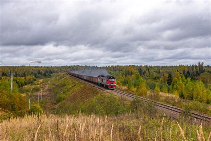 الطالب متاخر حولها الى جمله منفيه