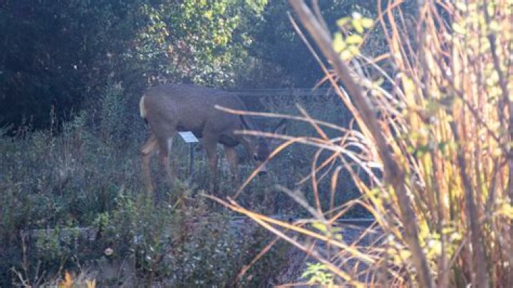 30 Years in the Treasure Valley, Idaho Fish and Games MK Nature Center
