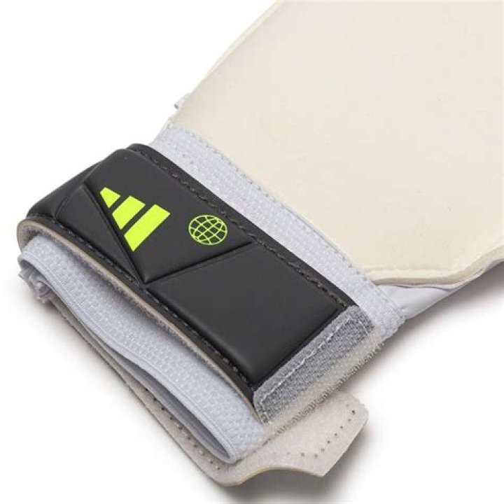 حروف المد والممدود