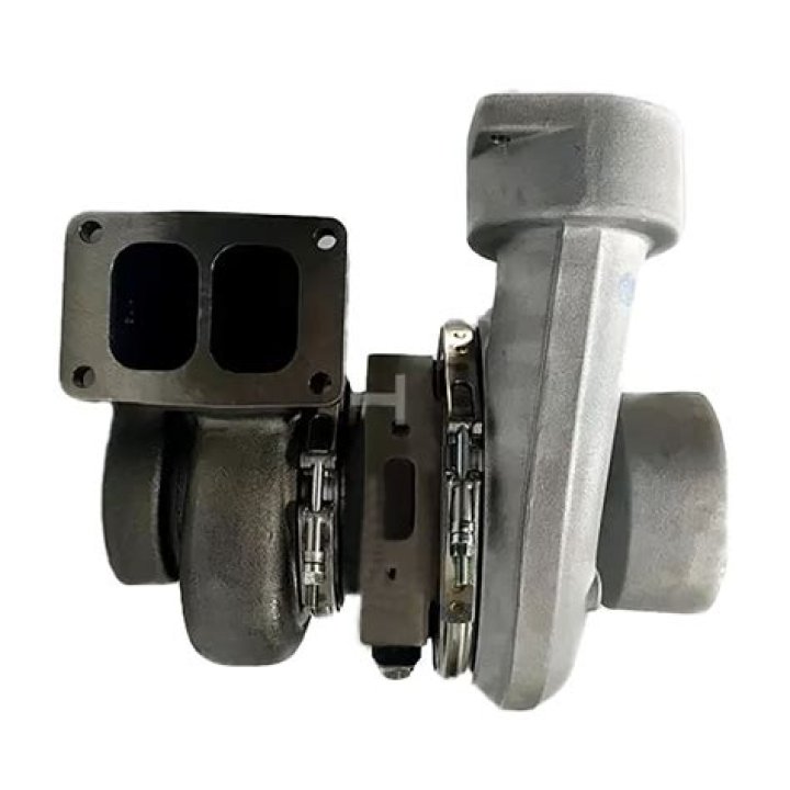 أي أقسام النباتات التالية لا ينتمي للنباتات المعراة البذور؟