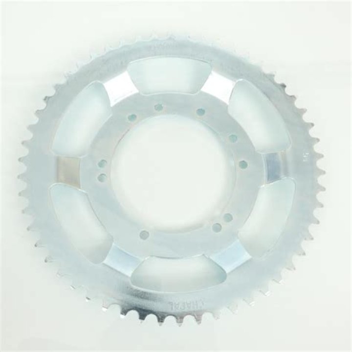 تقرير عن الغلاف الحيوي وأهميته