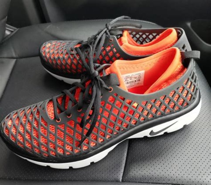 اي اجزاء الخليه الاتيه وظيفتها صحيحه