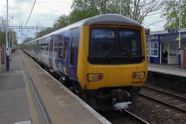 مشاهير واعلام 5 حروف كلمات متقاطعة