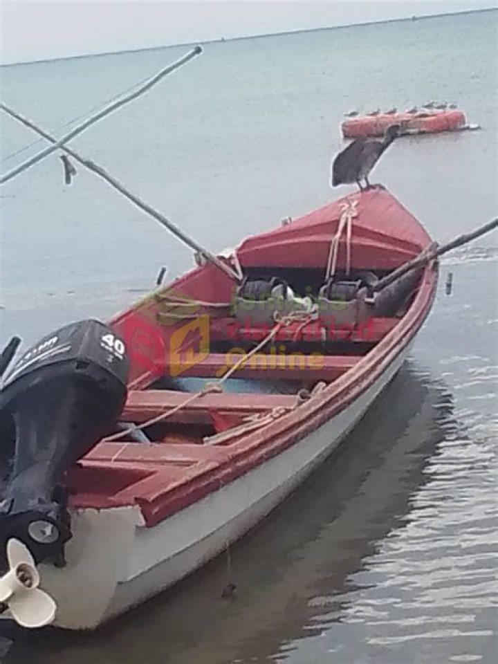 يستخدم برنامج سكايب في