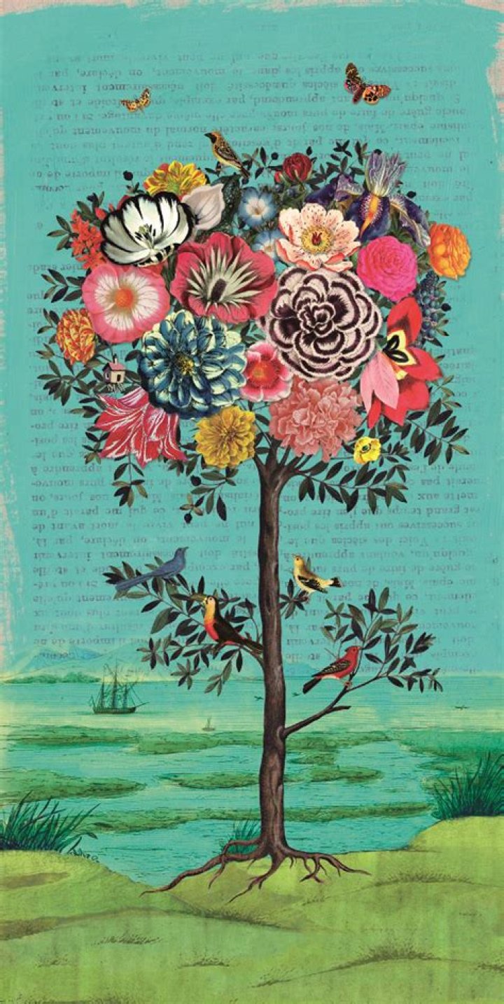 نقل العلوم، والمعارف من لغتها الأصلية للغة العربية يسمى علم ….. الترجمة. الكتابة. التأليف.