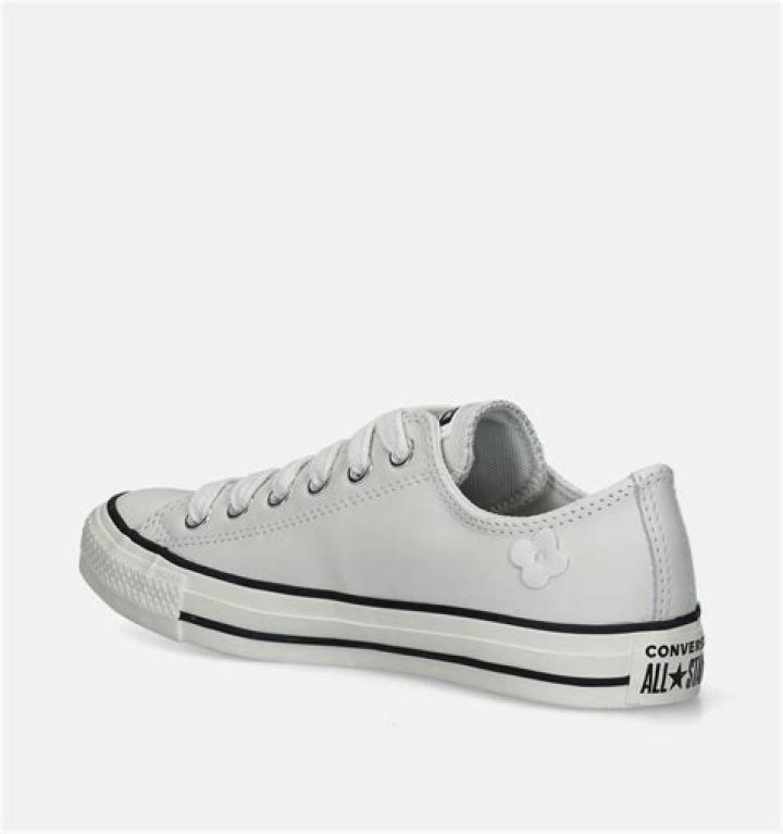 اسم حيوان نبات جماد بلاد بحرف خ