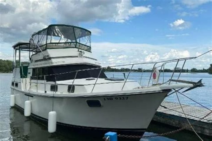 من هو فهد هزازي ويكيبيديا