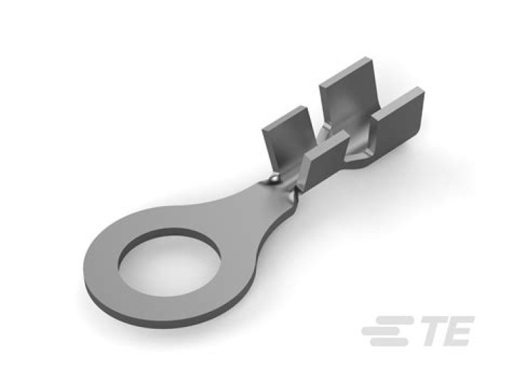 تفسير رؤية حشرة الجراد في المنام للنابلسي