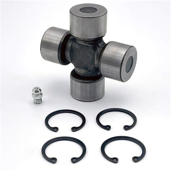 من هي كارن وازن ويكيبيديا