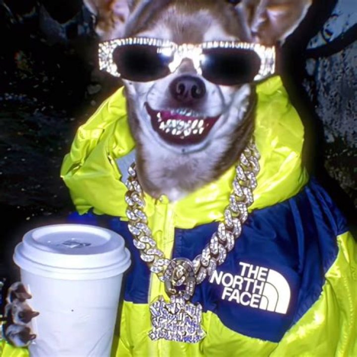 Adeen Berry: The Rising Star Of The Entertainment World