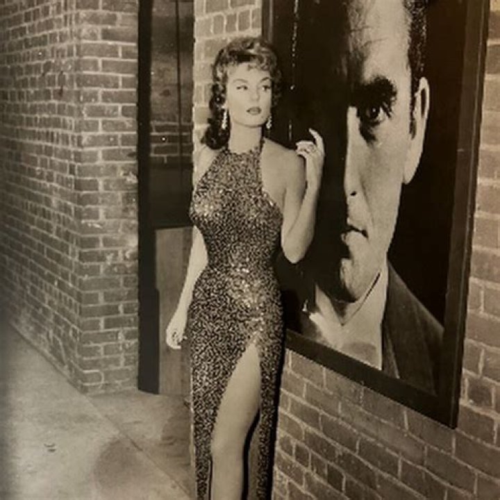 Exploring The Enchanting World Of Allison Hayes TV Shows