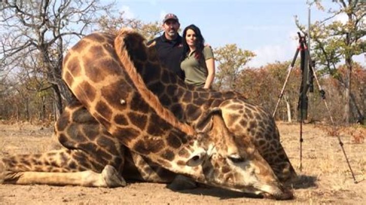 American hunter goes viral after posing with dead giraffe she’s just shot