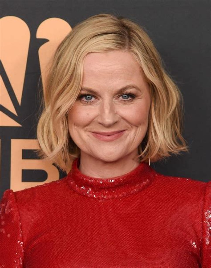 Amy Poehler News - Us Weekly