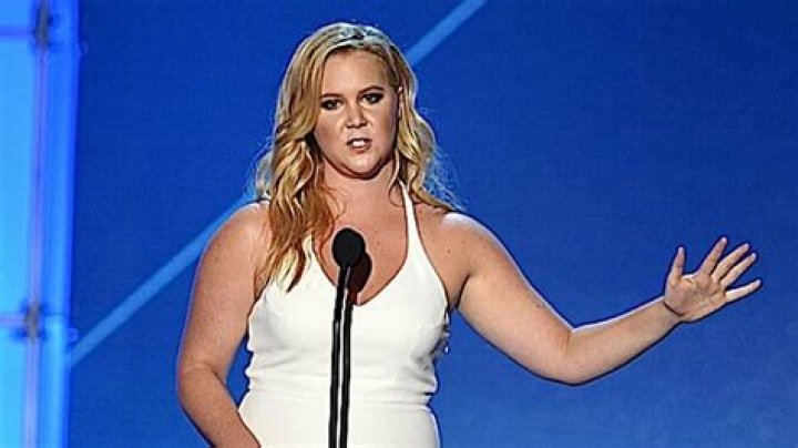 An Exhaustive Primer on the Amy Schumer Scandal (Yes, She's Probably Guilty of Plagiarism)