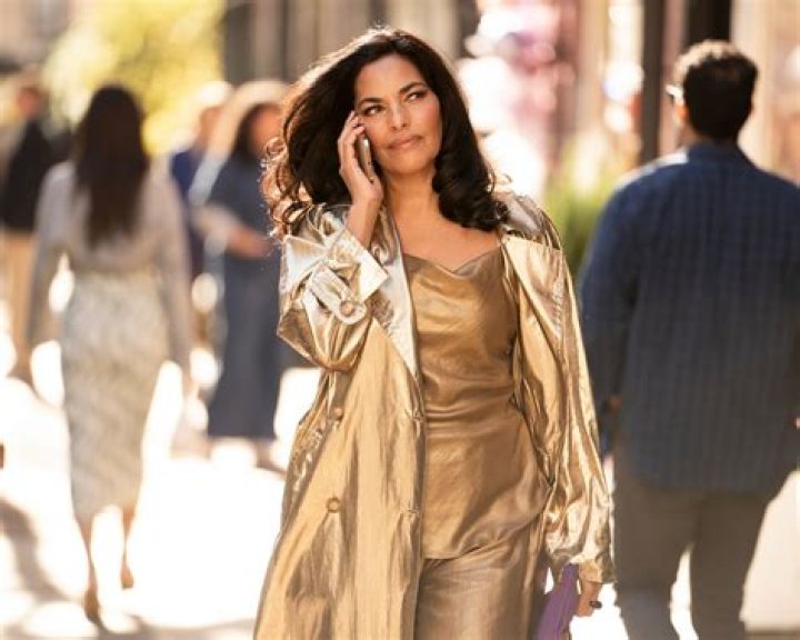 And Just Like That's Sarita Choudhury Teases Big, Aidan Story Lines