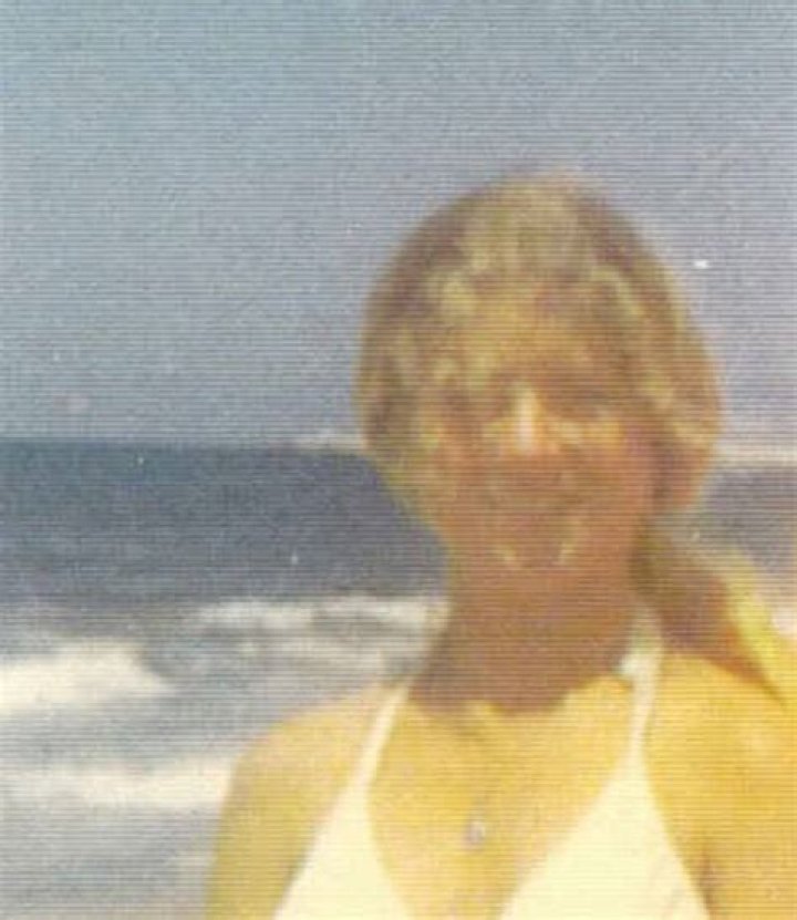 Anissa Jones At 18: A Journey Through Fame And Personal Growth